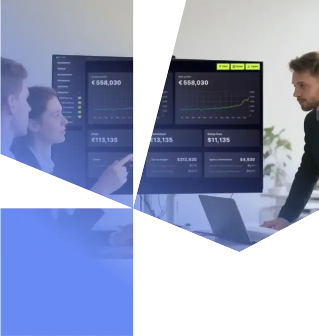 From connected spreadsheets to a custom ERP — project visual